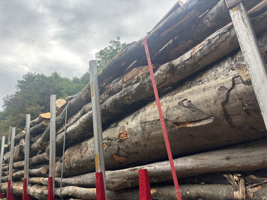 Lemn de foc bustean sau spart