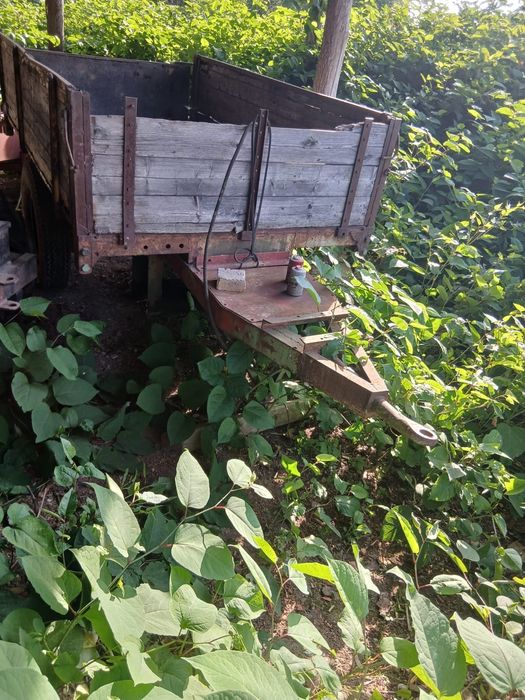 Vand remorca basculantă și încă o remorca cu sistem pentru golire