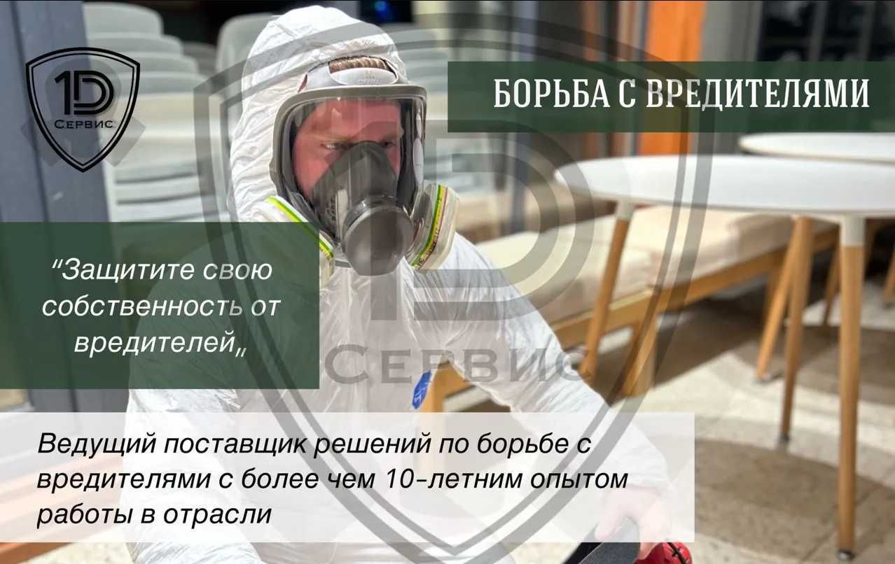 Чивин пашша илон кана клоп клапа чимоли ари сичкон каламуш Дезинфекция