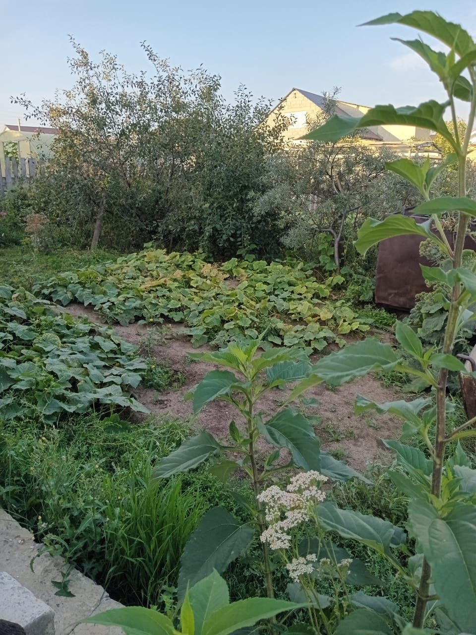 Дом в г Тобыл ( п Затобольск )