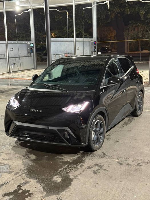 BYD seagull 405km full