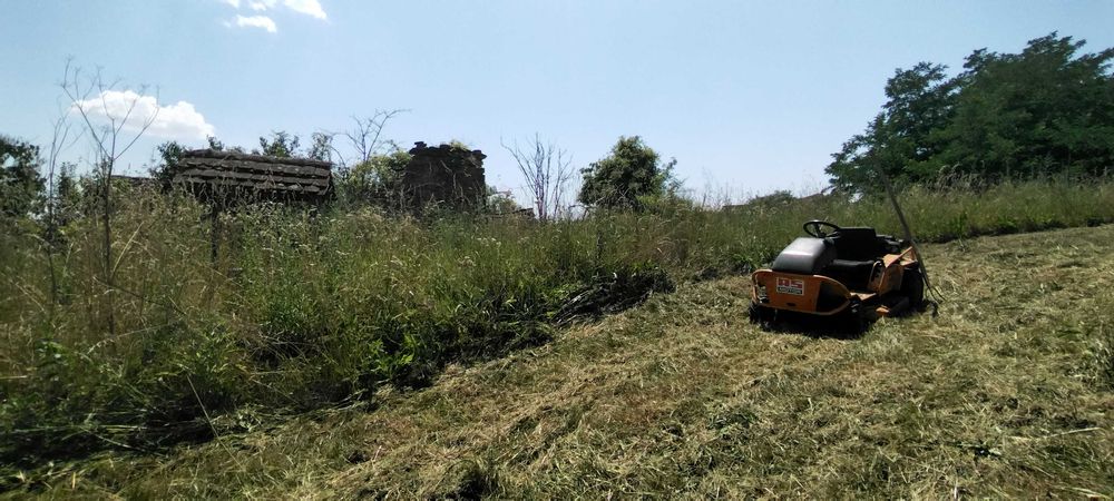 Tai Tund Iarba Plante Gazon Curat Radacini Nivelez Teren