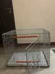 Accesoriu animale