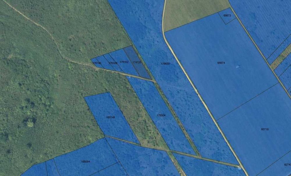 Teren extravilan Sorogari (Iasi)