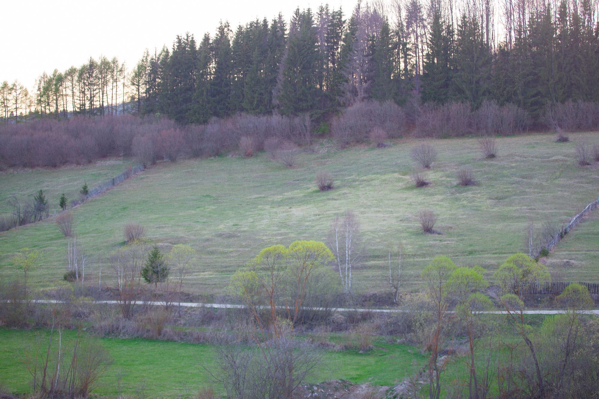 Teren de 2,5 hectare lângă Sândominic