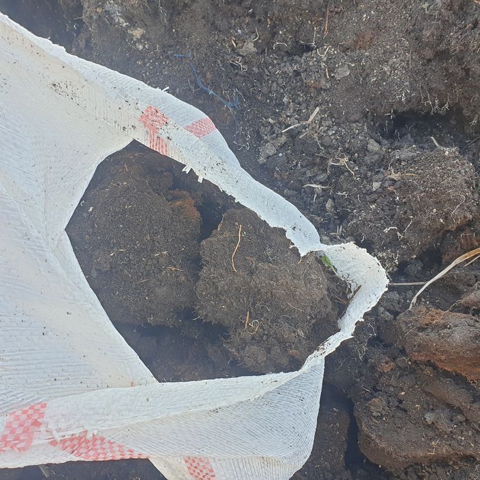 Vand mranita gunoi grajd ingrasamant natural flori solar transport la