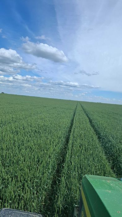 Vând fermă agricola