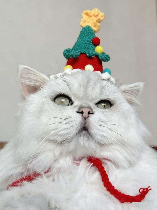 Коледна шапка елха за котка или малко куче – сладък празничен аксесоар