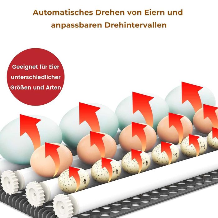 TRIOCOTTAGE инкубатор 56 яйца с автоматично обръщане и контрол