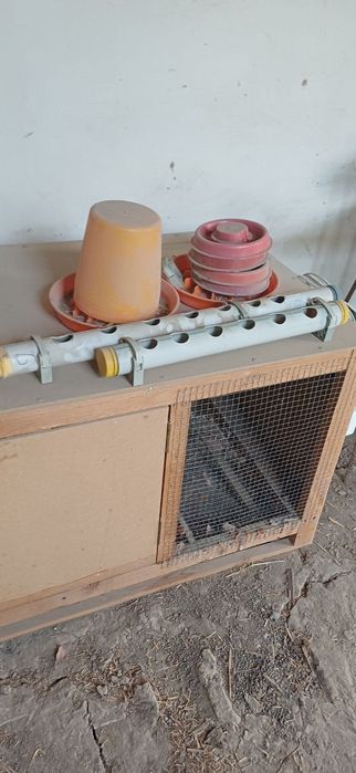 Taxta sotaman va tovuqlarning uyini