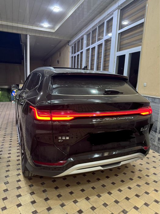 Chempion Honor Full 605