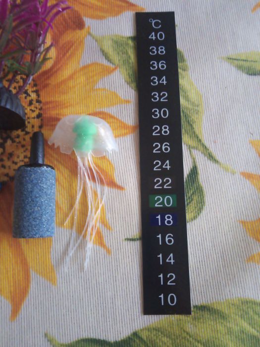 Аксесоари за аквариум (термометър, лакмусова хартия, камъче за въздух)