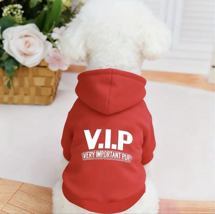 Модерни дрехи за кучета: Суичъри (Худита) с надписи, Пуловер (S, M)