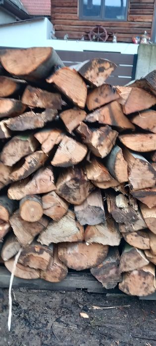 Lemn de foc fag uscat sau verde. Prețul este pe metru ster.