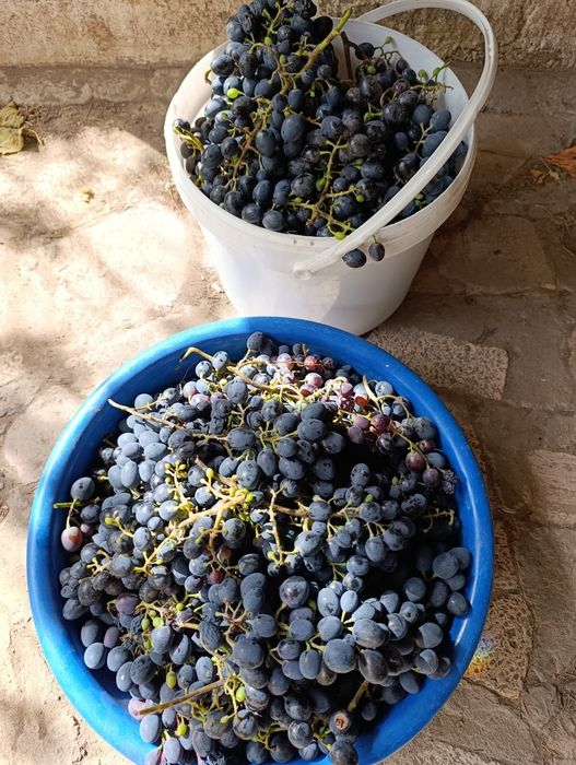 Продам дачу по 7