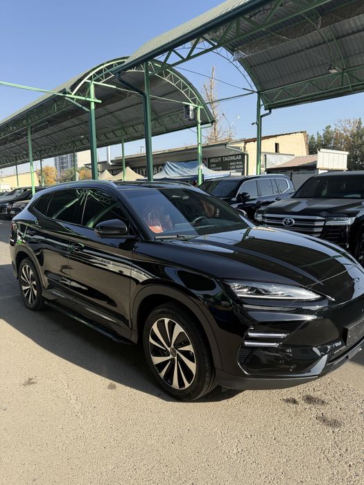 BYD Champion EV 506 km