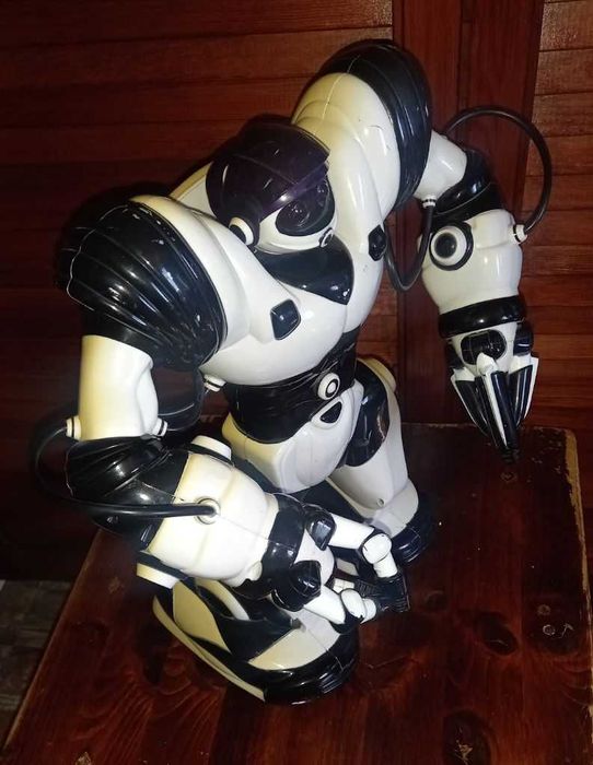 Robot interactiv Malipen (40 cm)