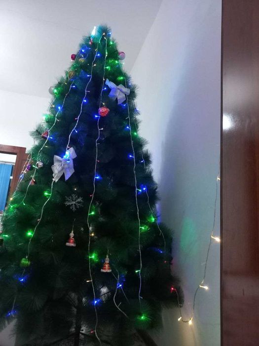 Арча сотилади.Янги холатда турибти.