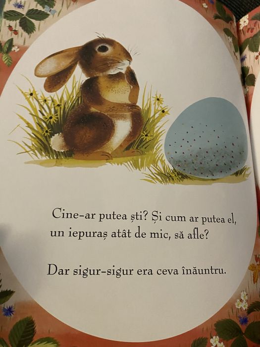 Uite ce-a iesit din ou