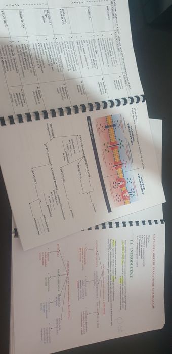 Meditații   la biologie