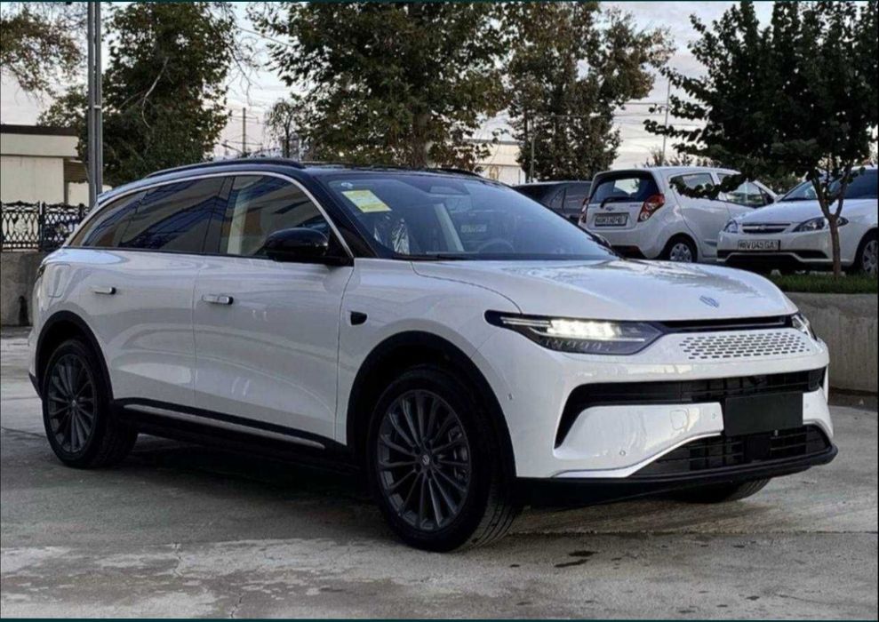 Leapmotor C11 gibrit smart full