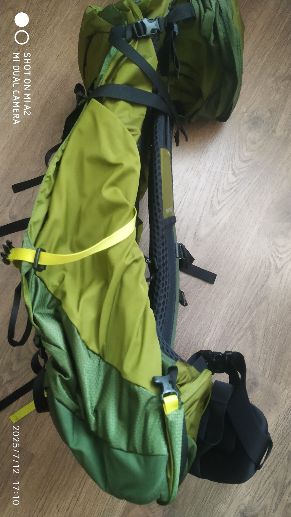 Osprey Atmos AG LT 50 Scenic Valley /Green Peppercorn L/XL