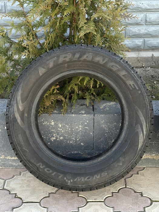 Қыстық дөңгелек. Липучка.