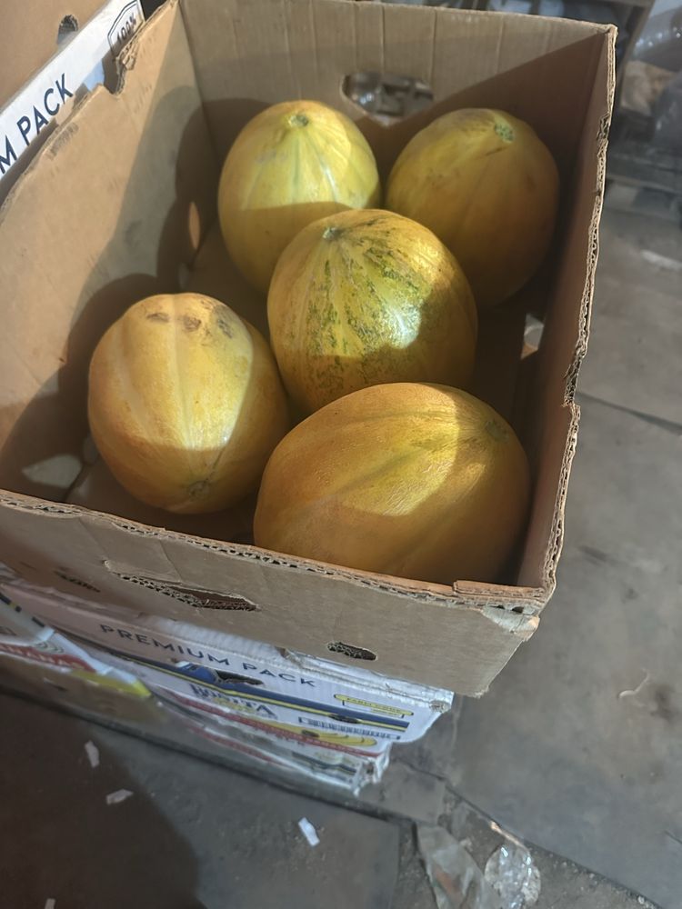 Продавам пъпеш на добра цена