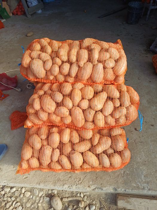 Cartofi consum alb si rosu