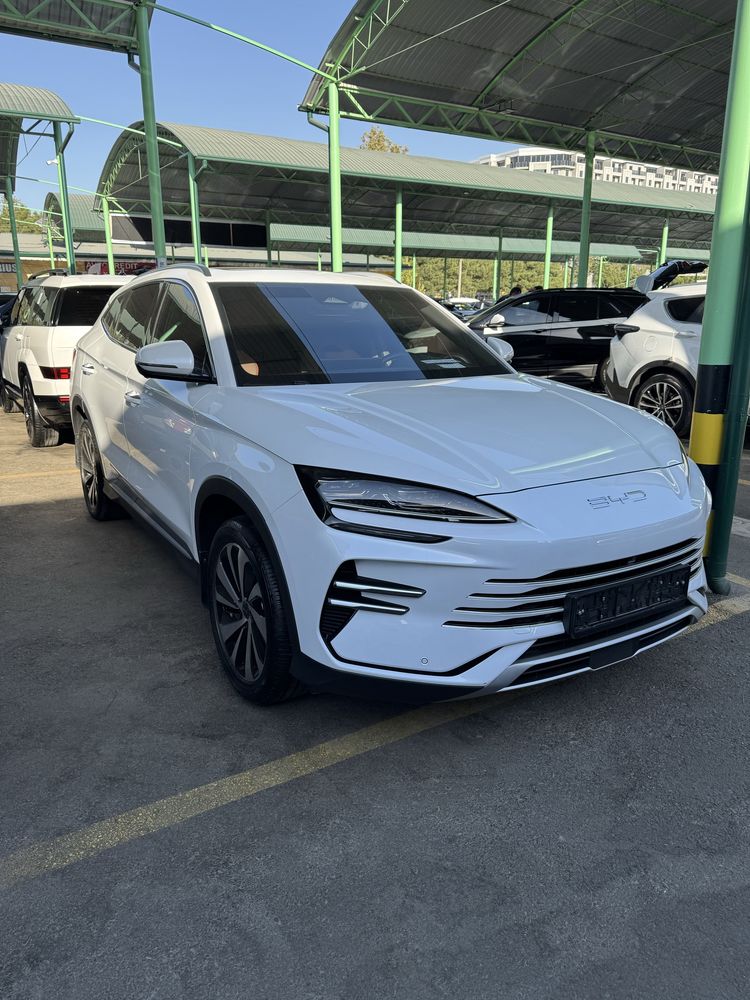 BYD Champion hybrid 150 full