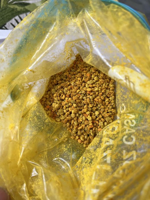 Polen crud dulce proaspat cules si propolis pt tinctura