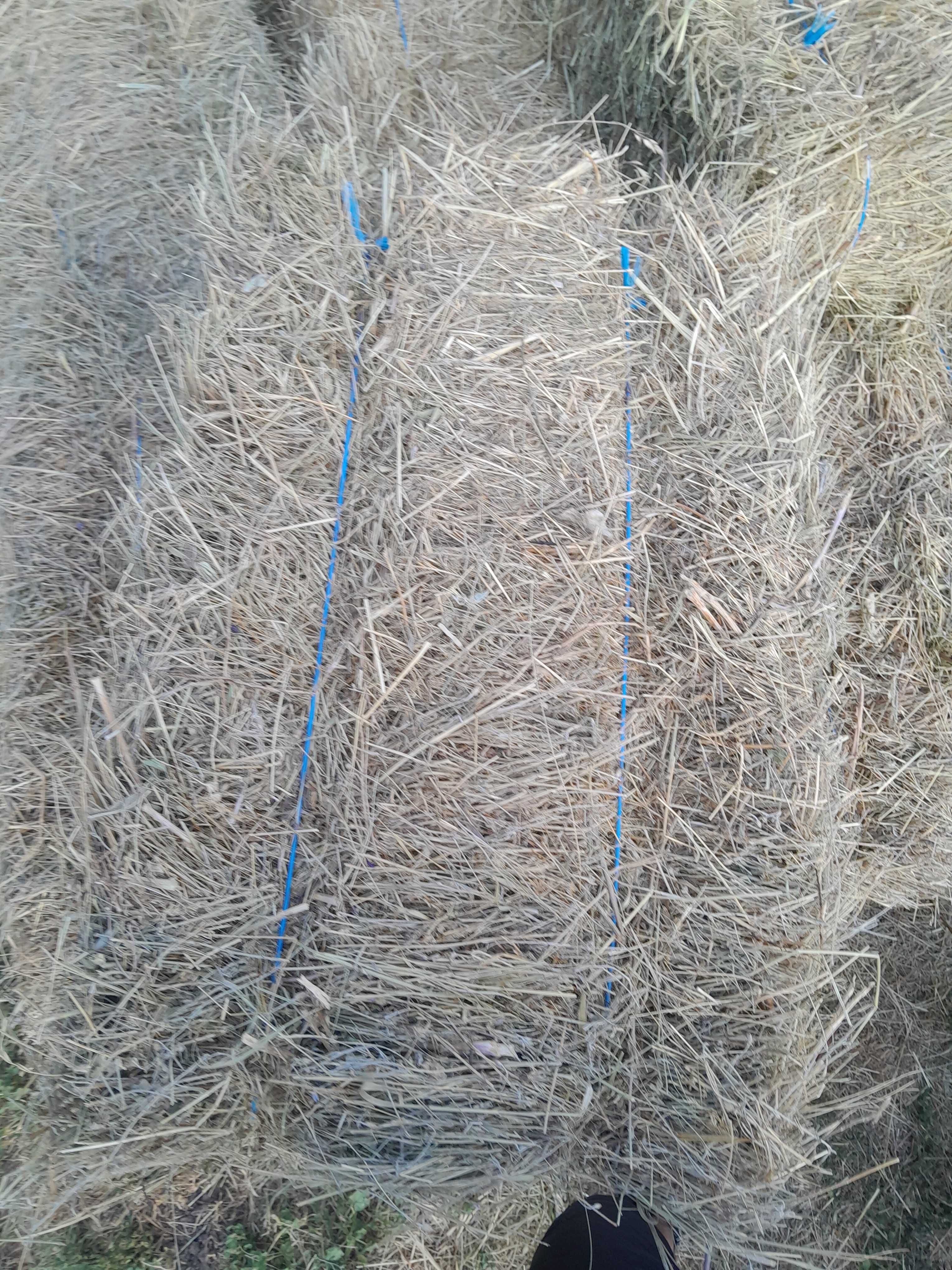 Продавам бали овес и ливадско сено