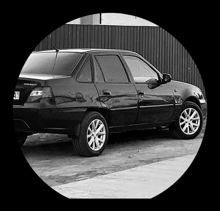 15 diska kafolat bilan