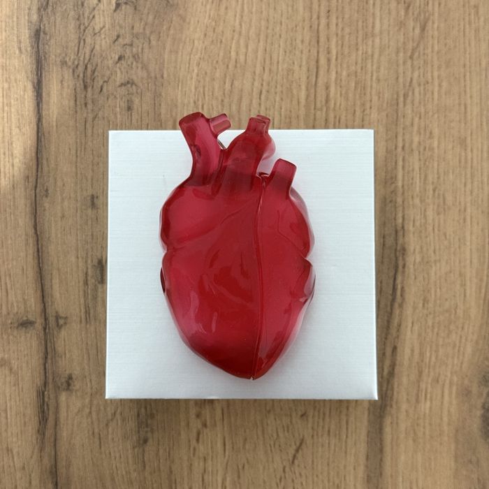 Чехол на AirPods Pro 2