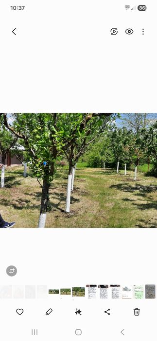 Teren de vânzare Valea Stanii, Comuna Luica