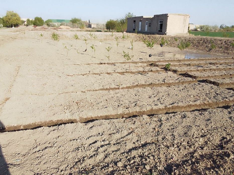 Yer uchastka sotiladi