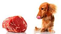 Продам мяса собакам