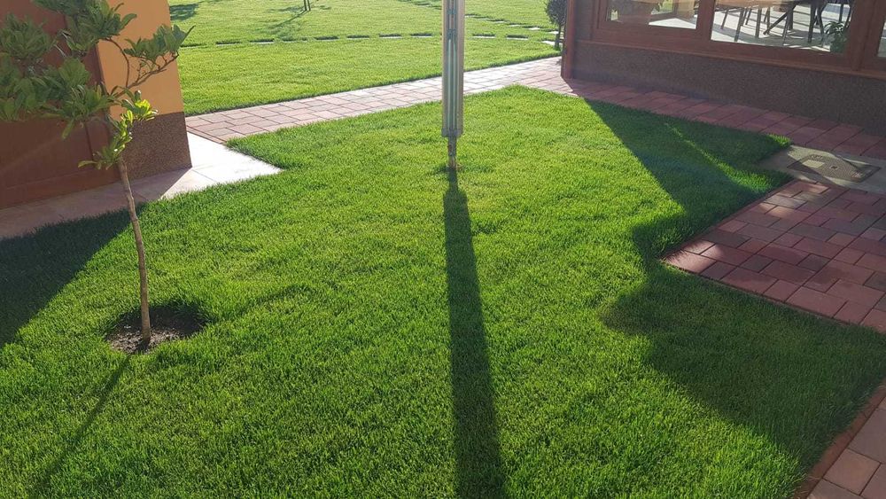 Montam pavaje, toaletam arbori, amenajam spatii verzi