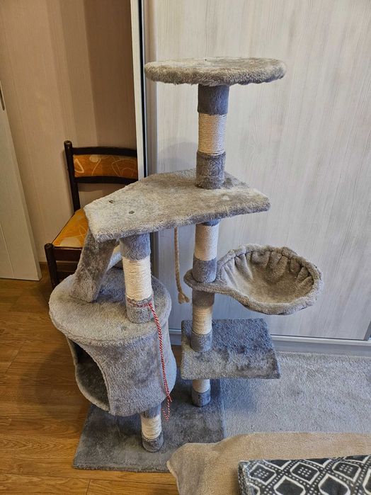 котешка катерушка