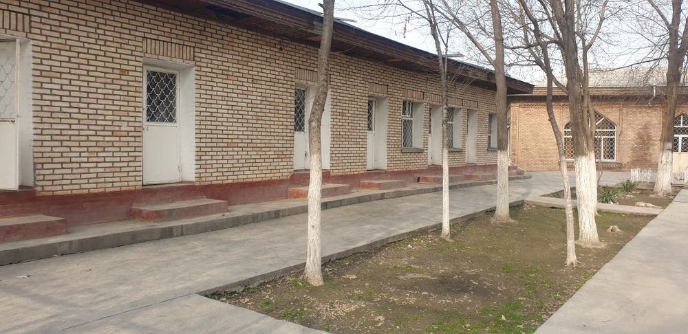 Чиноз Центрида 63 сотих Чойхона