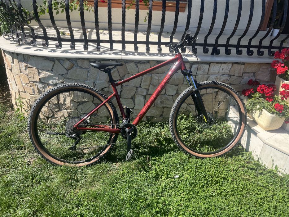Vand bicicleta focus vintler 3.7