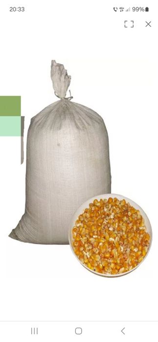 Vând porumb și grâu ambalat la sac, grâu -1.2 lei/kg ,porumb -1.5 lei/