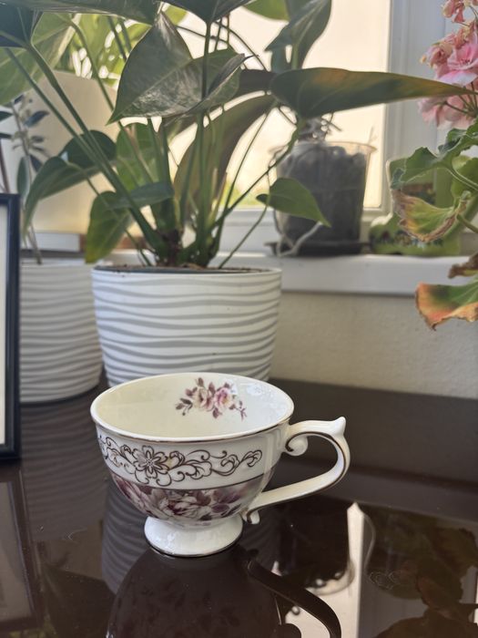 Set de cesti de cafea si zaharnita, calitate premium