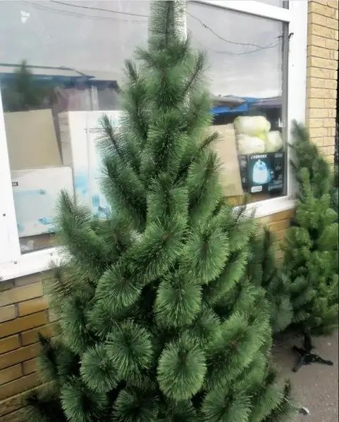 Ёлка продаётся/ Suniy archa sotiladi