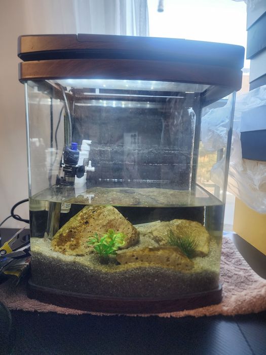 Отдам аквариум с рыбками