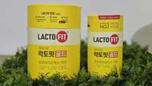 Lacto-Fit Gold Original (Korea)