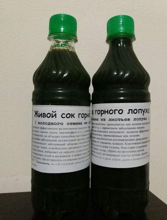 Живой сок горного лопуха с Тургеньского ущелья