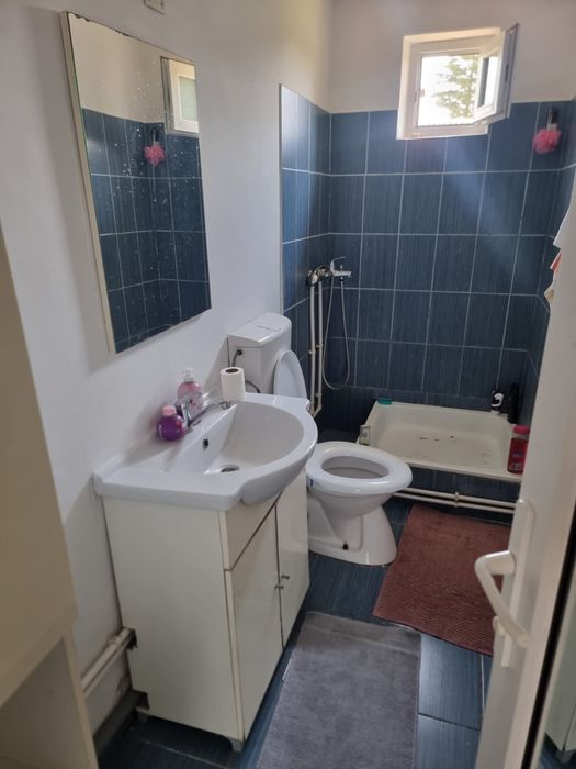 Casa p+1 cu teren in cobadin