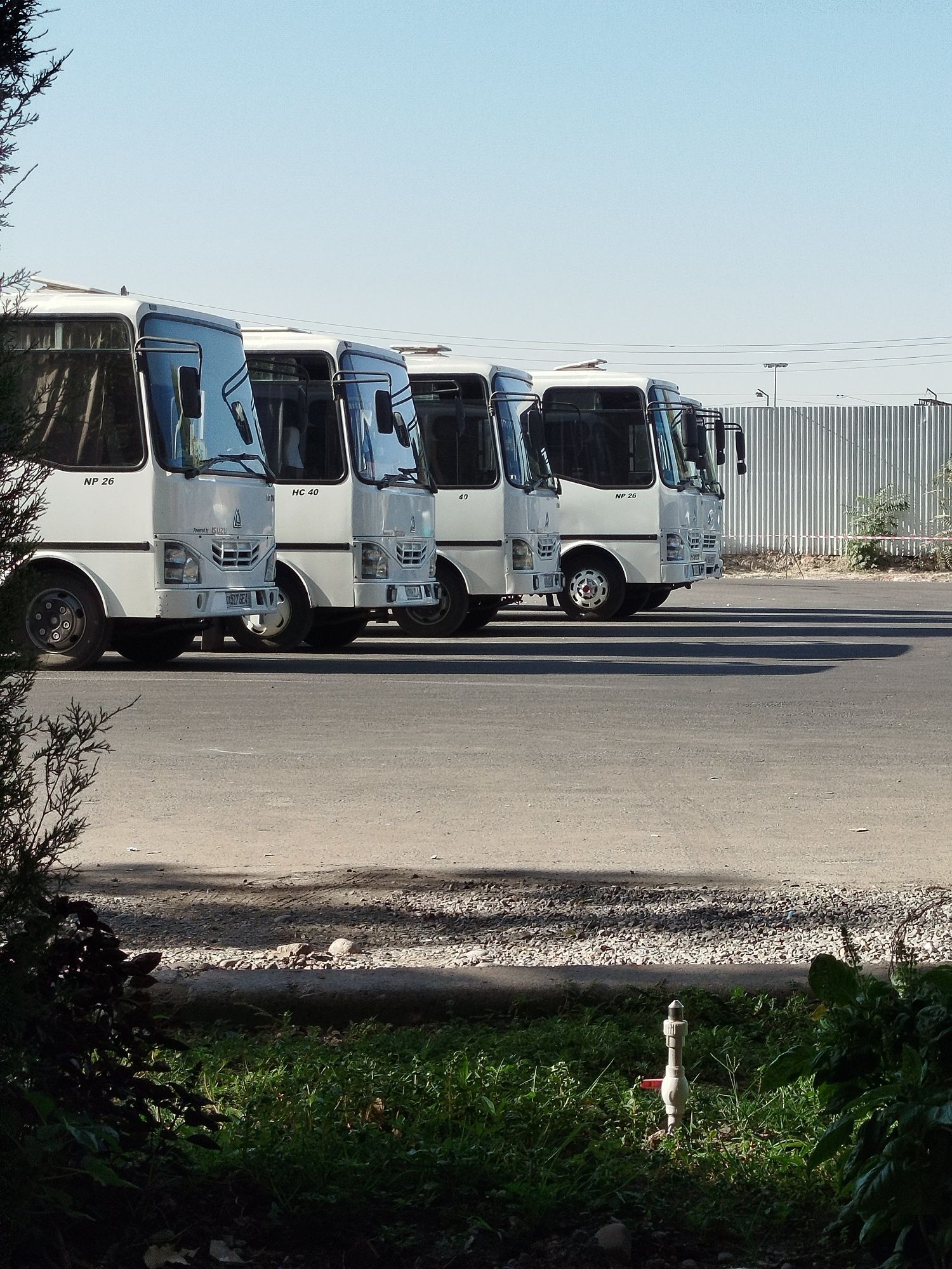 Автобус заказ  Zakaz avtobus