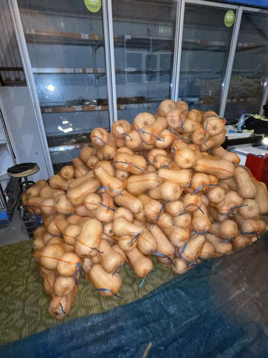 Vand dovleci placintari